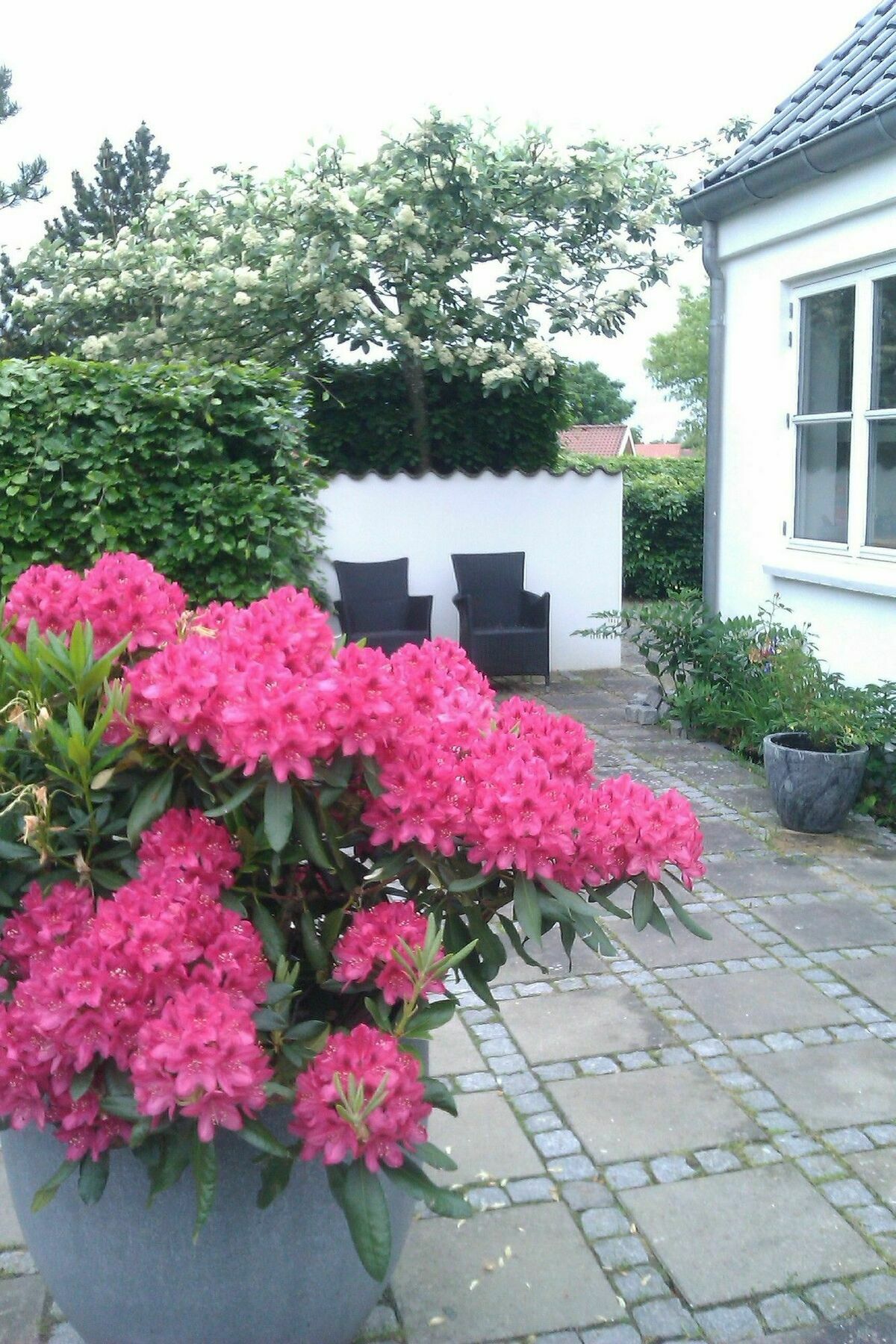 Helts B&B - Helts Guesthouse 海宁 外观 照片